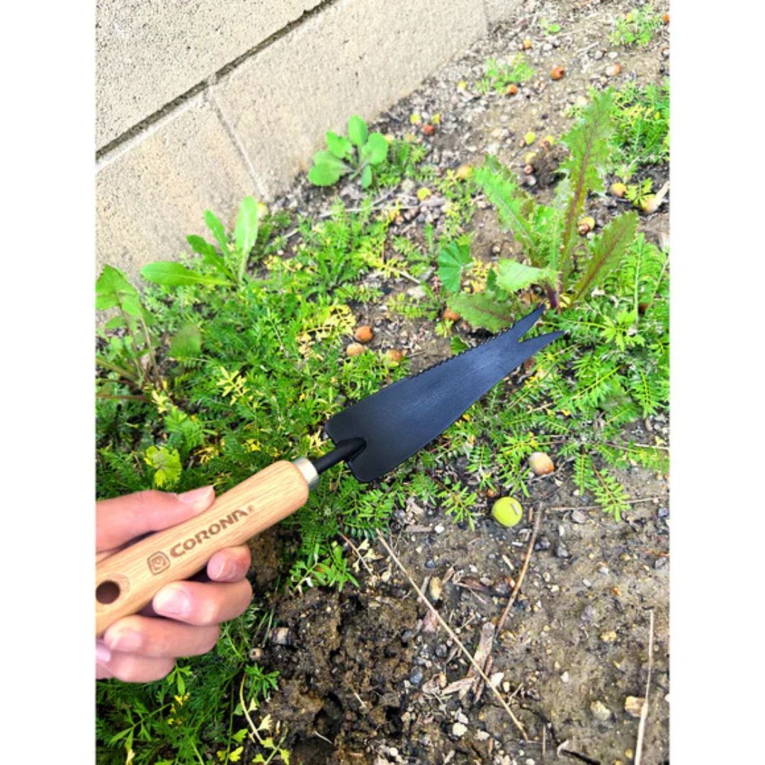 Wooden Handle Weeder – Corona